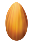 Icon of almond